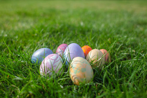 istock Close up of colorful Easter eggs 1219426291