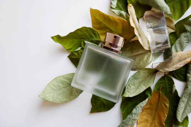 Glass perfume bottle with green and yellow leaves Rectangular glass perfume bottle with dry green and yellow leaves on white background Clean and fresh fragrances  stock pictures, royalty-free photos & images