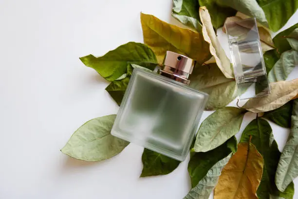 Rectangular glass perfume bottle with dry green and yellow leaves on white background