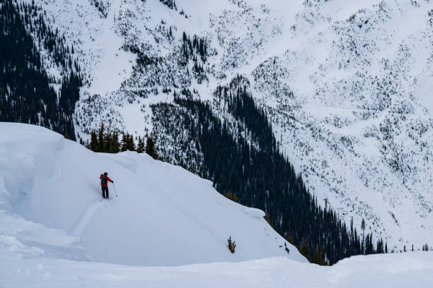 istock Skier Cutting a Trail in Fresh Snow 1219429657