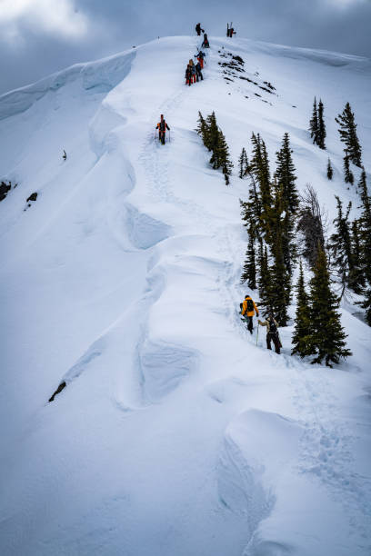 istock Hiking up a Snowcovered Peak to Ski 1219429719
