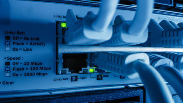 istock Close-up Macro Shot Ethernet Cables Connected to Router Ports with Blinking Lights. Telecommunications: RJ45 Device Connectors Plugged into Modem Hubs. Secure Data Center. 1219430118