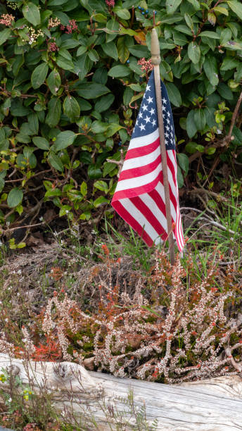 istock Small American Flag in Guarden 1219431237