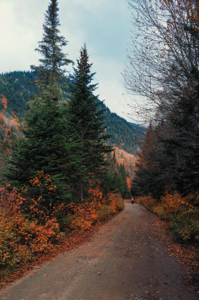 istock Jacques-Cartier National Park 1219435122