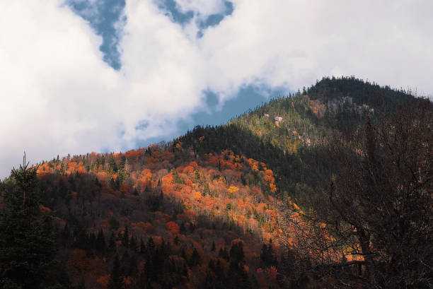istock Jacques-Cartier National Park 1219435134
