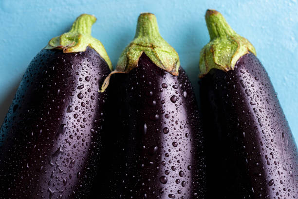 Fresh eggplants with drops of water, close-up Dark purple eggplants sprinkled with water. 3 eggplants close-up above view. Freshly harvested vegetables covered with drops of water. eggplant stock pictures, royalty-free photos & images