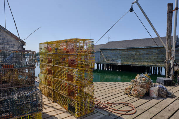 istock Yellow lobster pots or traps sit on a loading dock near a lift awaiting loading onto outbound lobster boats on a New England Dock 1219439602