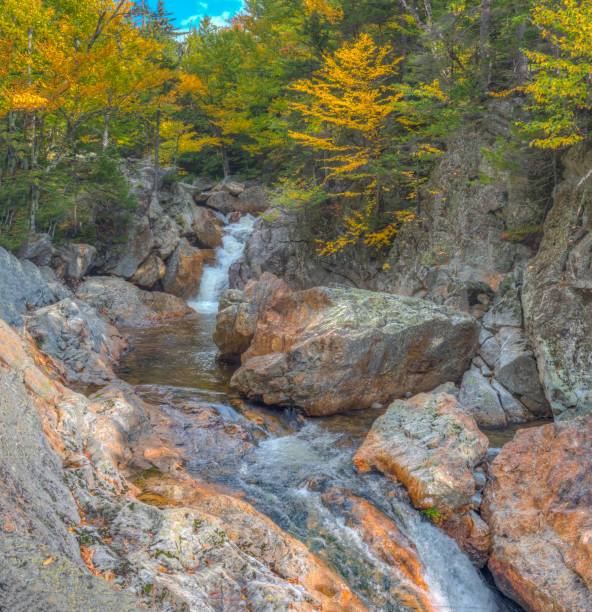 istock Autumn on the swift river 1219439810