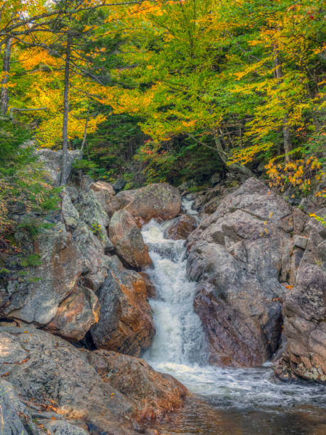 istock Autumn on the swift river 1219439842