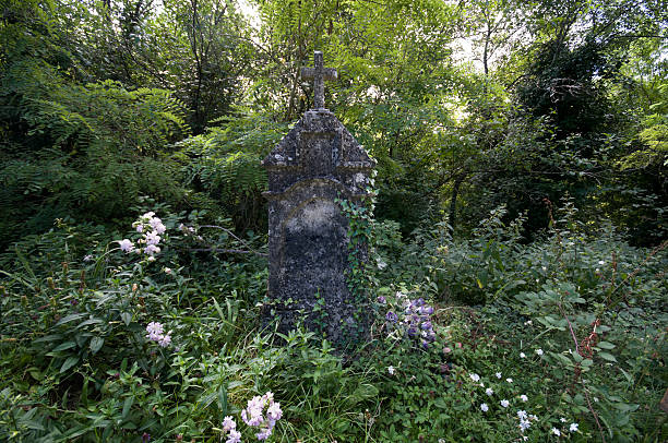 istock overgrown grave in Istria 121944320