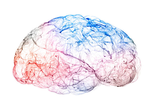 시냅스의 보기. 뇌 연결. 뉴런과 시냅스. 통신 및 대뇌 자극 - nerve cell 뉴스 사진 이미지