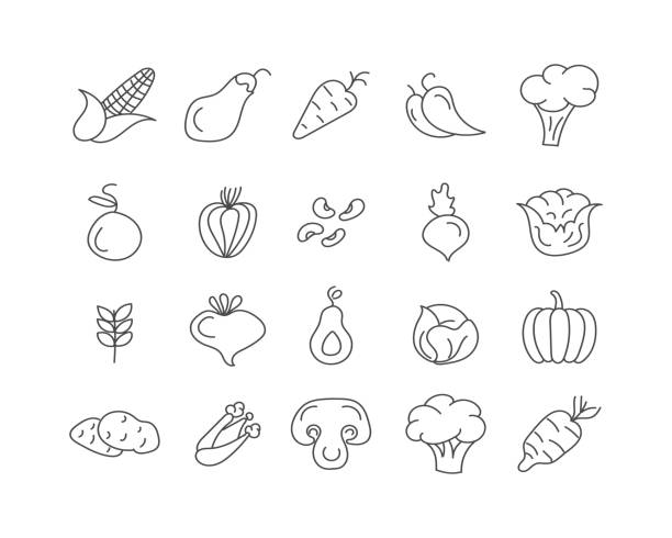 平らな野菜をセットします。 - leaf vegetable freshness vegetable market点のイラスト素材／クリップアート素材／マンガ素材／アイコン素材