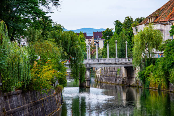 istock View to the bridge over the river Ljubljanica 1219447055