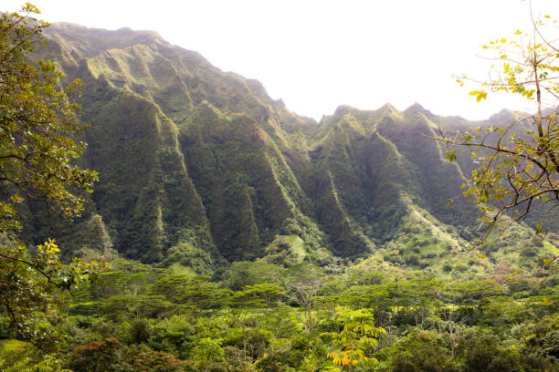 istock Hawaii Mountains and Jungle 1219447338
