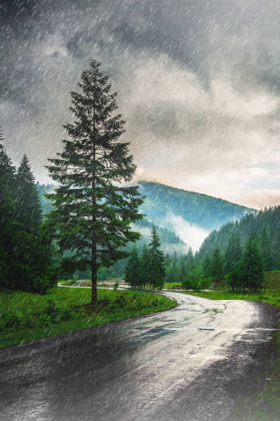 Location: Carpathian Mountain Range, Ukraine