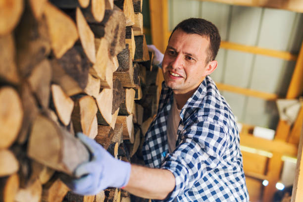 istock The lumberjack arranges the wood 1219449562