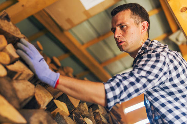 istock The lumberjack arranges the wood 1219449698