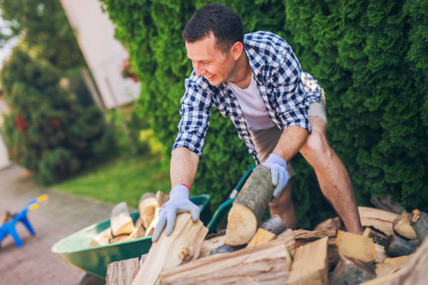 istock The lumberjack arranges the wood 1219450906