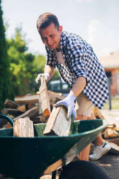 istock The lumberjack arranges the wood 1219450996