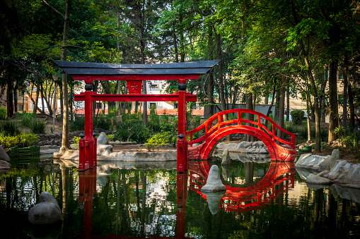 Masayoshi Ohira Japanese Park is located in Mexico City. It has an oriental design, with abundant vegetation, stone paths, a stream, ponds with squeaky colorful fish and an emblematic Japanese architecture with bridges and wooden doors.
