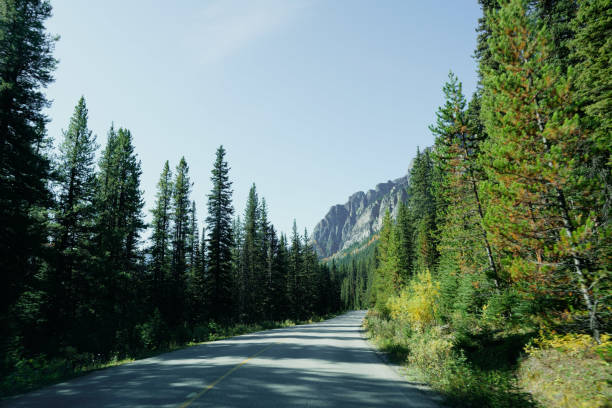 istock Icefield Parkway. Jasper National park,Canada 1219453087