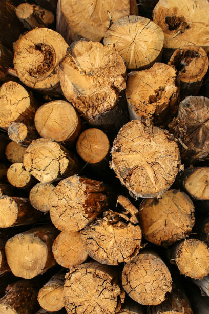 istock logs pattern end dark brown folded in pile, wooden vertical background close up 1219453310