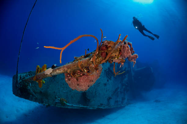 istock MV Captain Keith Tibbetts Shipwreck - Cayman Brac 1219453377