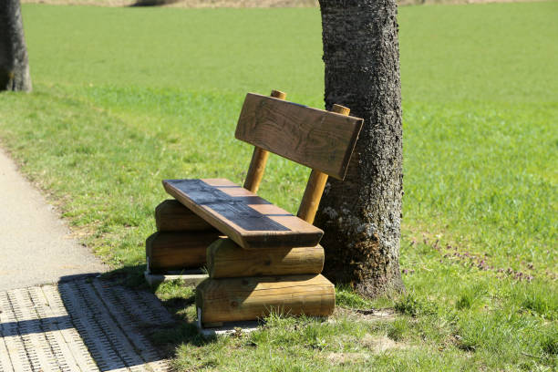 istock Bench in the park. Wooden bench for rest 1219454064