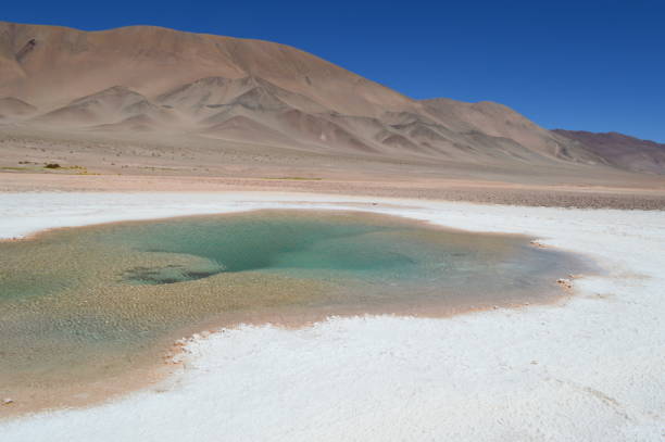 istock Sea eyes lagoon (Ojos de mar) in Tolar Grande, Salta 1219454570