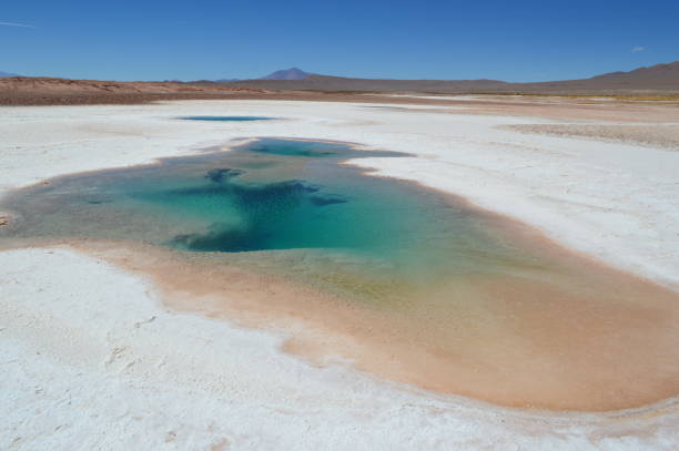 istock Sea eyes lagoon (Ojos de mar) in Tolar Grande, Salta 1219455388