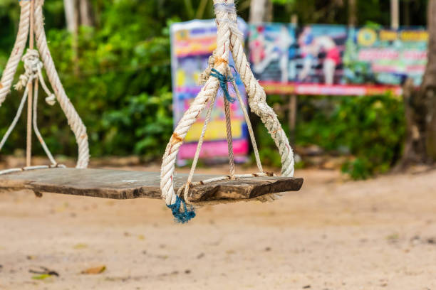 istock rope swing suspended on a tree branch background rest sandy ground 1219456313