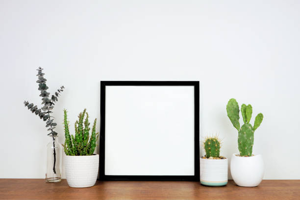 Mock up black square frame with potted plants and decor on a wood shelf against a white wall Mock up black square frame with potted plants and branch decor. Wooden shelf against a white wall. Copy space. square shape photos stock pictures, royalty-free photos & images
