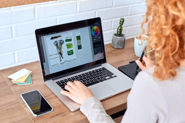 istock Side Hustle. Woman graphic designer sitting at desk at home using drawing tablet editing vegan image on laptop 1219462168
