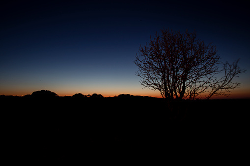 Silhouettes of a row of trees against a magnificent and beautiful sky during sunset