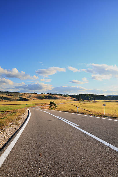 istock Curved Asphalt Road on Sunny Day 121946326