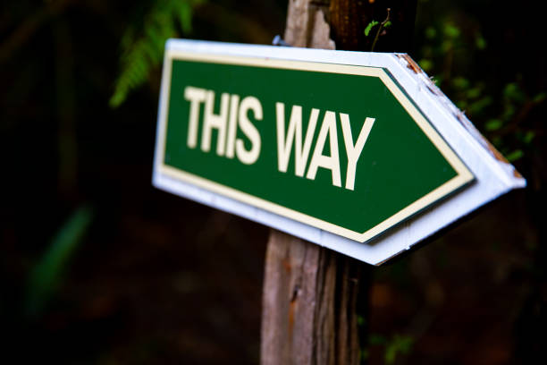 A Vintage Green This Way Sign Shows the Way
