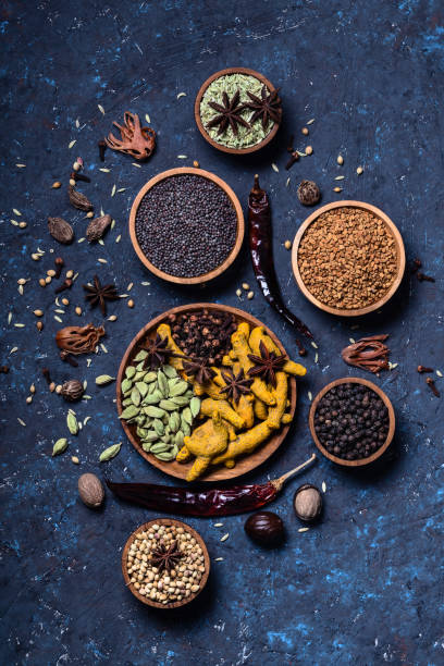 dry warming indian spicesin on plate for autumn winter meal on dark blue concrete background. - straggling imagens e fotografias de stock
