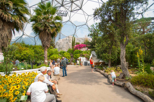 Cornwall England - July 24 2013; Inside geodesic dome of Eden Project botanical gardens people moving about or relaxing.