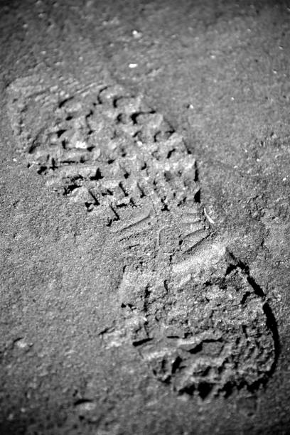 istock Single Foot Print On The Sand Beach In Alaska 1219469203