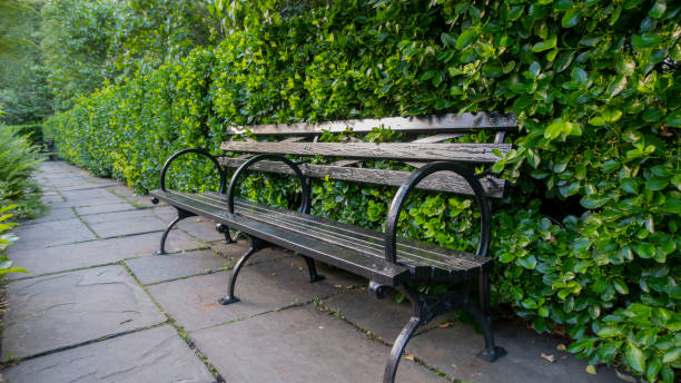 istock park bench with big green hedges behind it siting on a slate flat rock walkway 1219469302