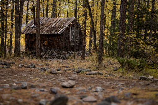 Old wooden hut in the autumn forest