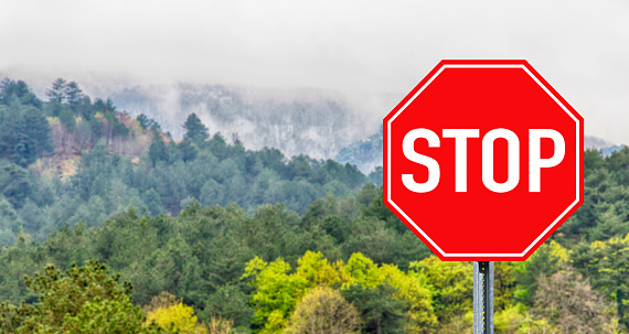 Stop Sign on forest background
