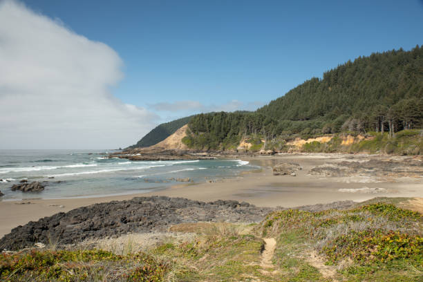 istock Beach and green hills along the Oregon coast 1219476554
