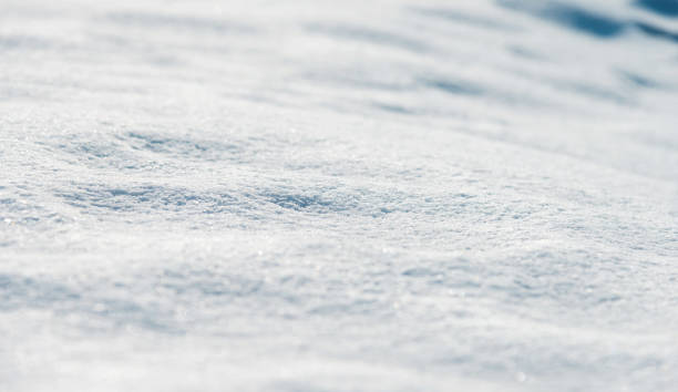 istock Close up of white snow background 1219477313