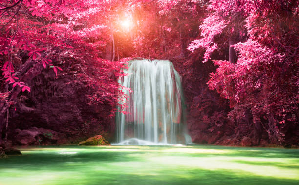 belle chute d’eau avec la lumière du soleil dans la forêt d’automne au parc national d’erawan, thaïlande, - erawan national park beauty in nature waterfall photos et images de collection