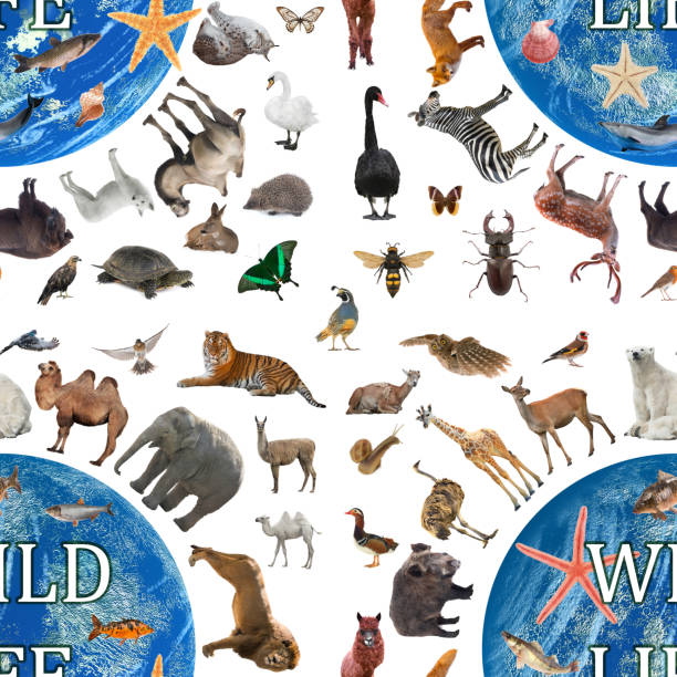 pattern wildlife walking around the world isolated on white