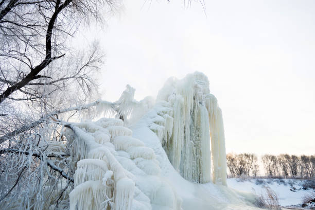 Tree covering with snow and icicle.