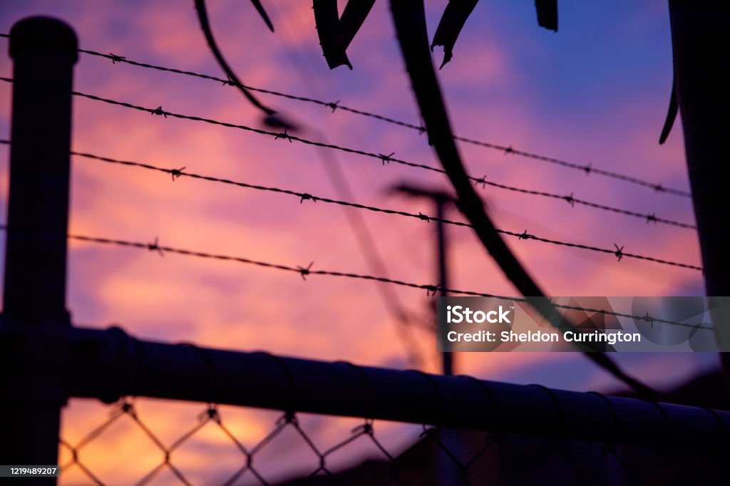 Make The Climb to Freedom Make The Climb to Freedom. A Vibrant Sunrise Behind Barbed Wire. School Detention Stock Photo