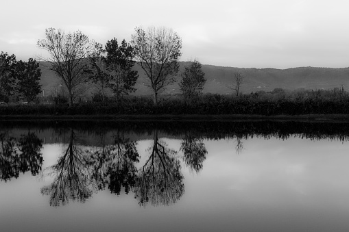 A perfectly symmetric view of a lake, with trees reflections on water.