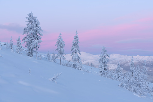 Sunset over the mountains in the dusk evening. Colorful winter landscape in mountains
